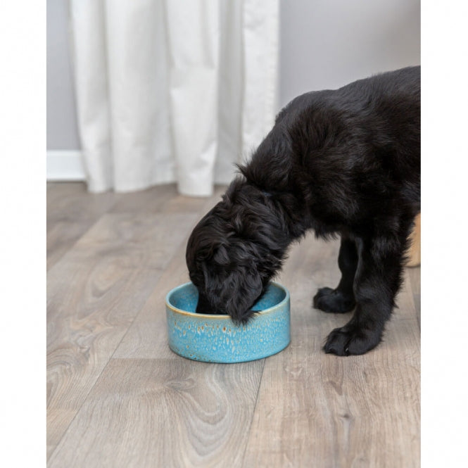 Trixie Keramiknapf mit Musterung - blau - 0,4 l/ø 13 cm - Heim & Tiermarkt