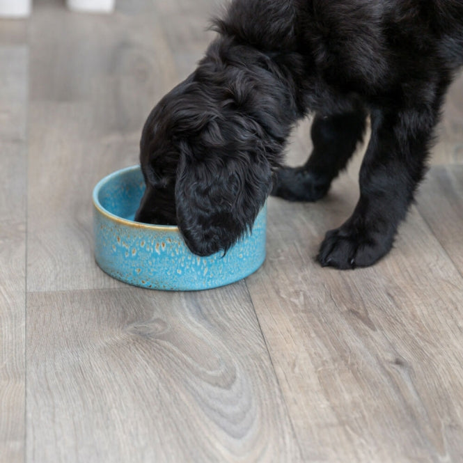 Trixie Keramiknapf mit Musterung - blau - 0,9 l/ø 16 cm - Heim & Tiermarkt