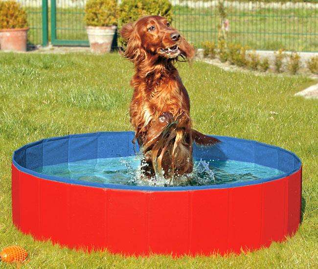 Karlie DOGGY POOL der Swimmingpool für Hunde - Rot-Blau - 80 cm - Heim & Tiermarkt