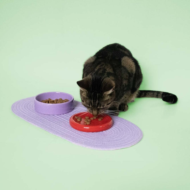 Coockoo Futternapf FUNKY FEEDING - rot/violett - Heim & Tiermarkt