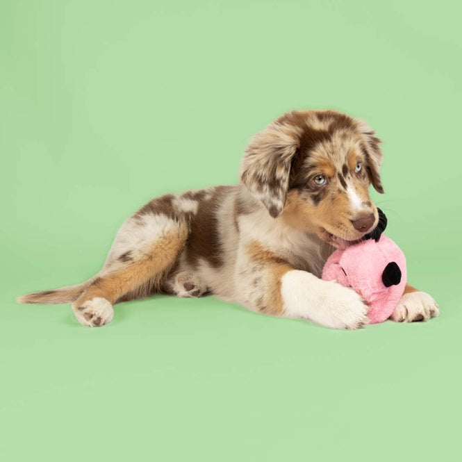 Coockoo Hundespielzeug Bouncy Buddy - rosa - Heim & Tiermarkt