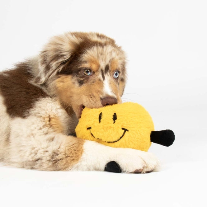 Coockoo Hundespielzeug Bouncy Buddy - gelb - Heim & Tiermarkt