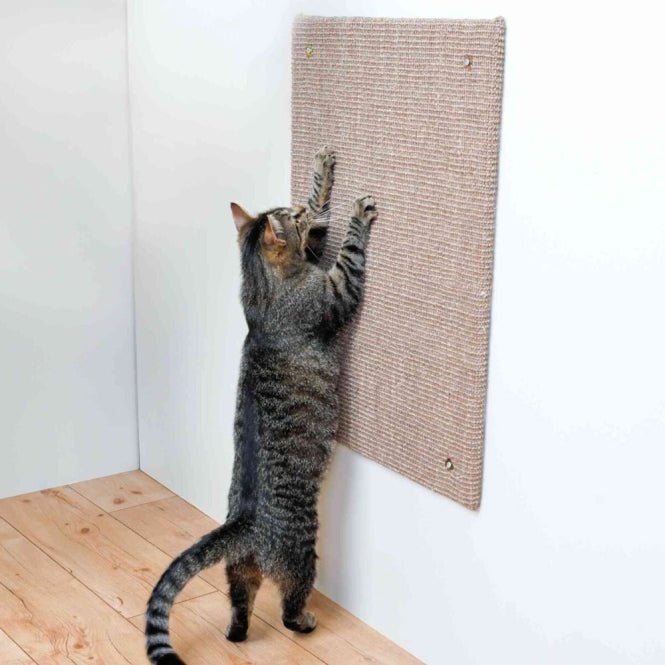 Trixie Kratzbrett XXL - 50 × 70 cm - Heim & Tiermarkt