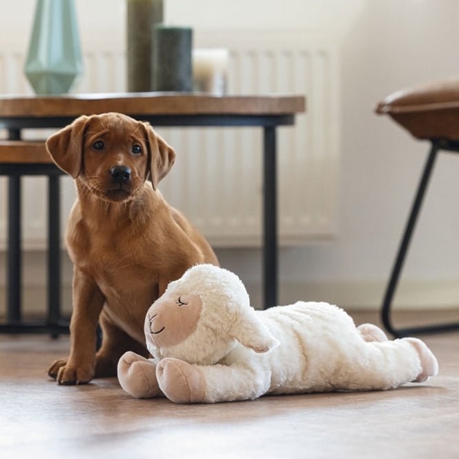 Beeztees Puppy Kuschelspielzeug Bowi - Heim & Tiermarkt