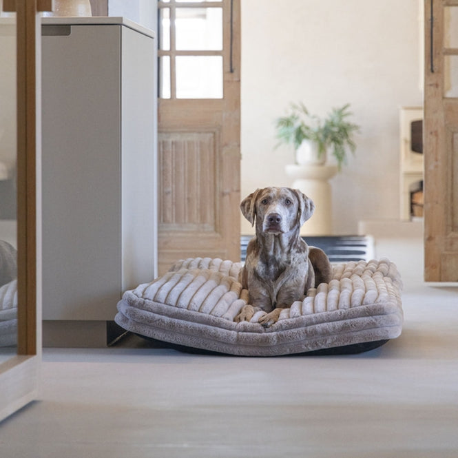 Designed by Lotte Hundekissen Reza - Beige - 120 x 80 cm – Bild 2