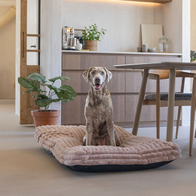 Designed by Lotte Hundekissen Reza - Rosa - 120 x 80 cm – Bild 2