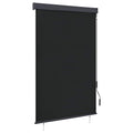 Außenrollo 120 x 250 cm Anthrazit