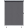 Rollo Anthrazit 200 x 250 cm Stoff und Aluminium