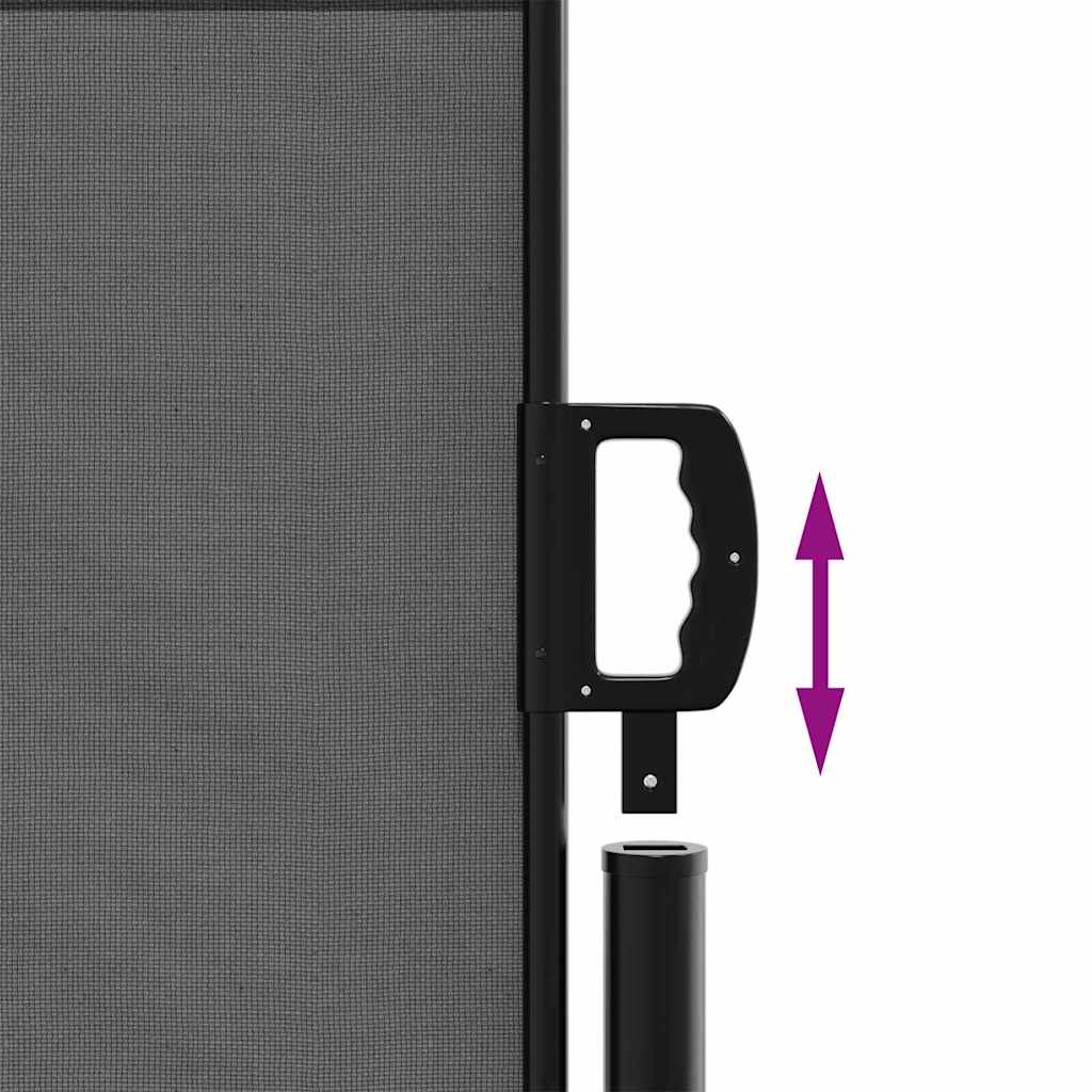 Ausziehbare Seitenmarkise Anthrazit 120x600 cm – Bild 7