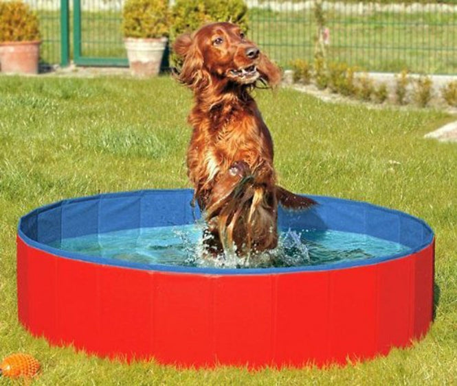 Karlie DOGGY POOL der Swimmingpool für Hunde - Rot-Blau - 160 cm - Heim & Tiermarkt