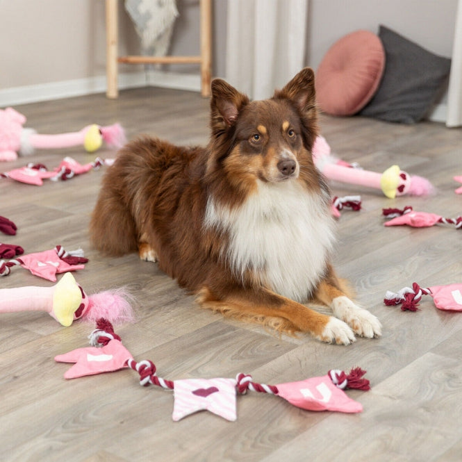 Trixie Hundespielzeug Valentines Tau - Heim & Tiermarkt
